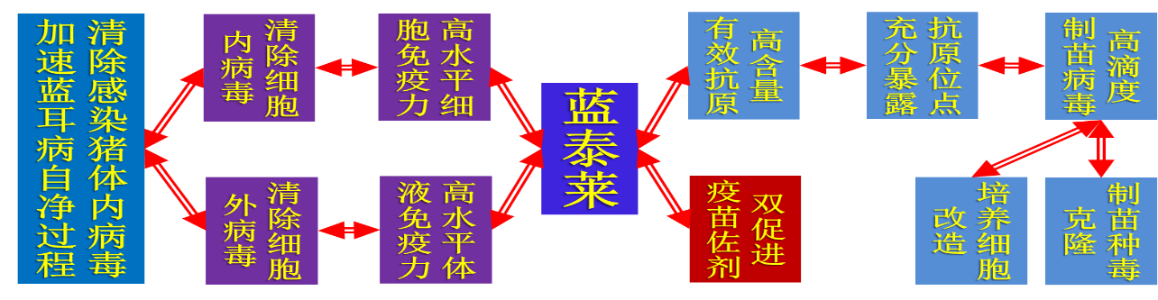 圖片1（博美萊5）.png